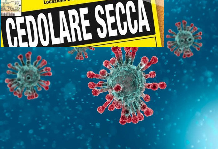 Coronavirus e studenti stranieri